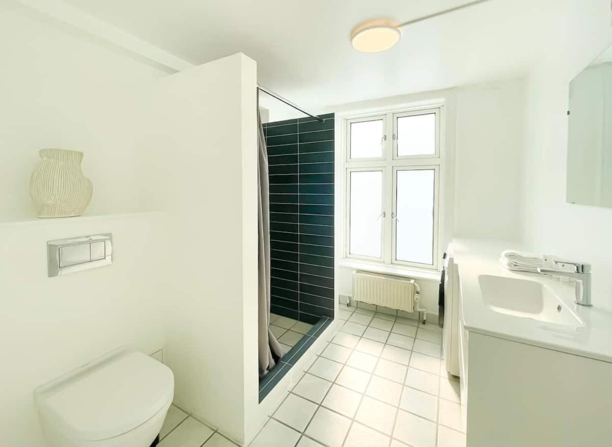 In Trendy And Vibrant Norrebro Area Apartment Copenhagen